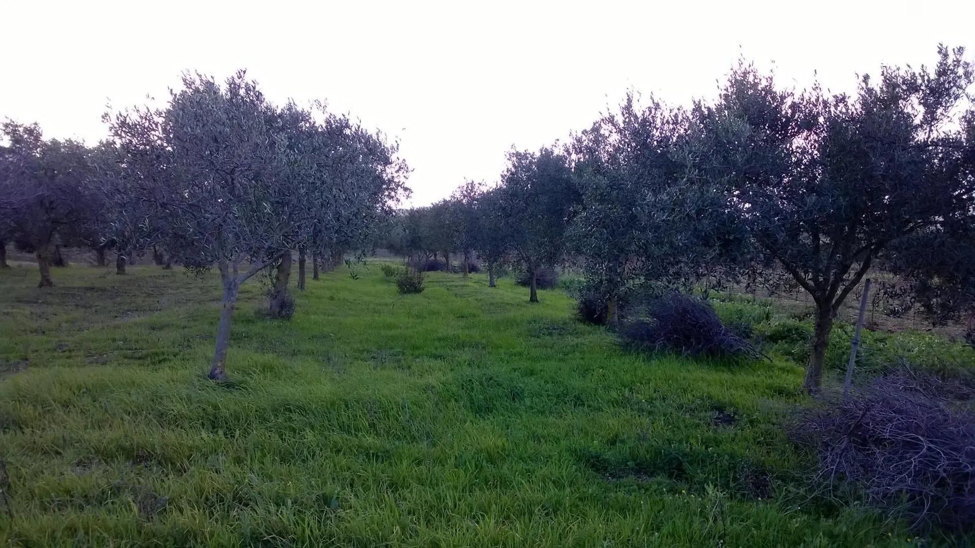 Case Vacanza Sa Mitza Villamassargia